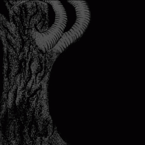 Soror : A Maldi​ç​ã​o de Ant​ô​nia